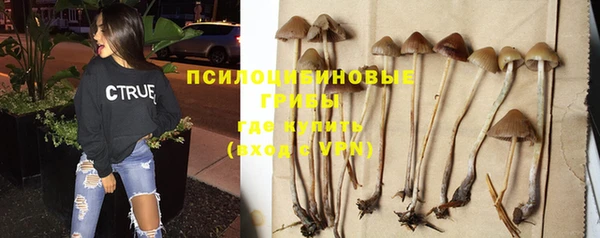 шишки Алексеевка