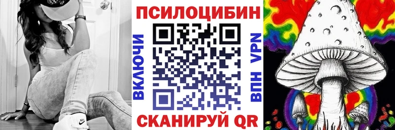 Галлюциногенные грибы Cubensis Юрьев-Польский